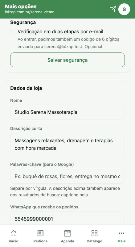 Dados da loja: nome, descrição, palavras-chave, WhatsApp e Pix.